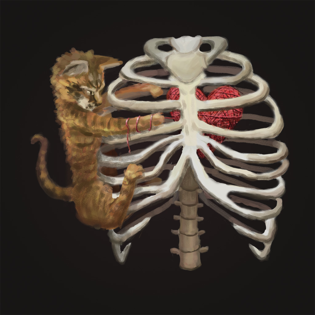 A kitten playing with a heart made of yarn through a ribcage